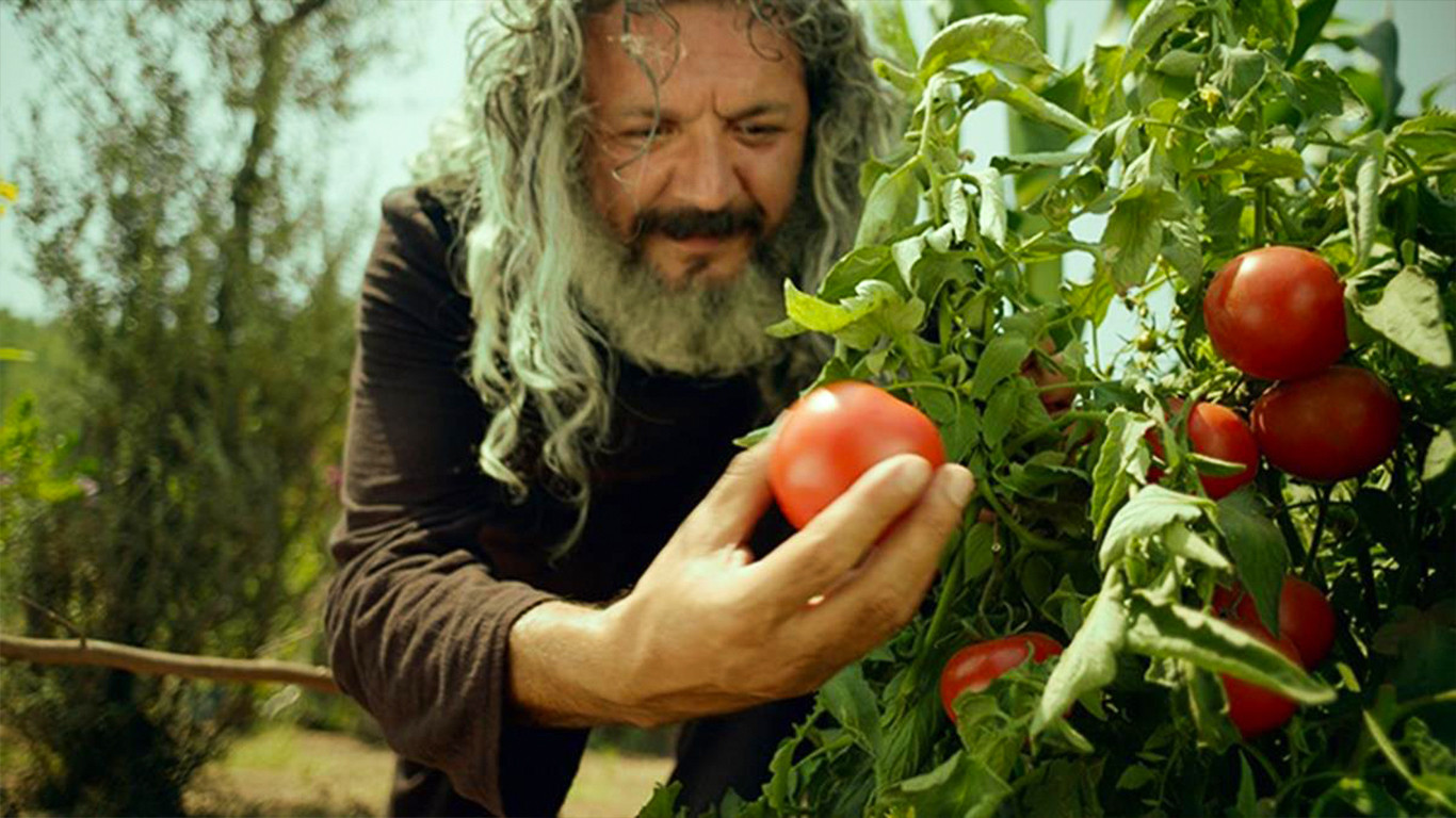 Backdrop for Mandıra Filozofu