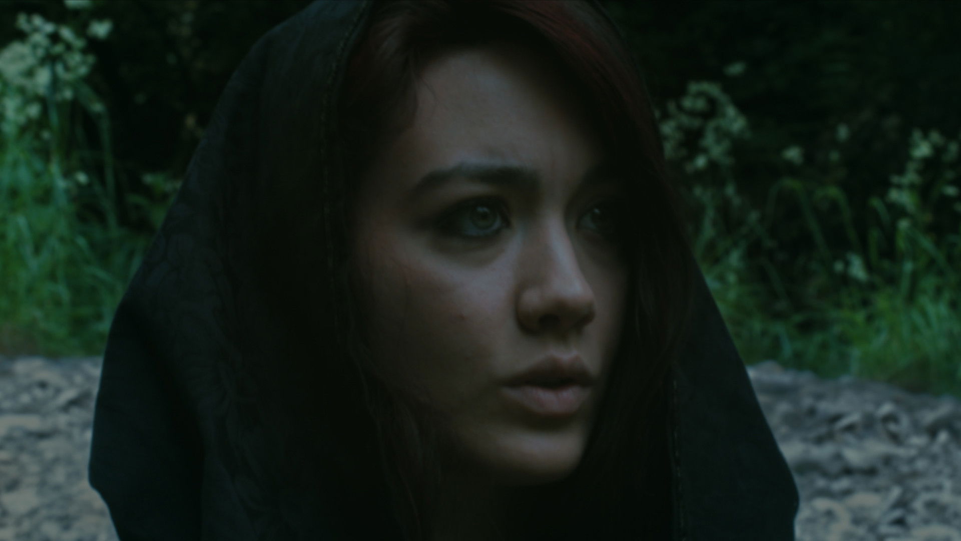 Backdrop for Vindex Flamma