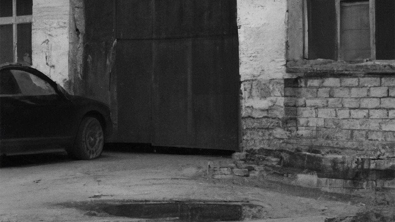 Backdrop for Abandoned Betrayal