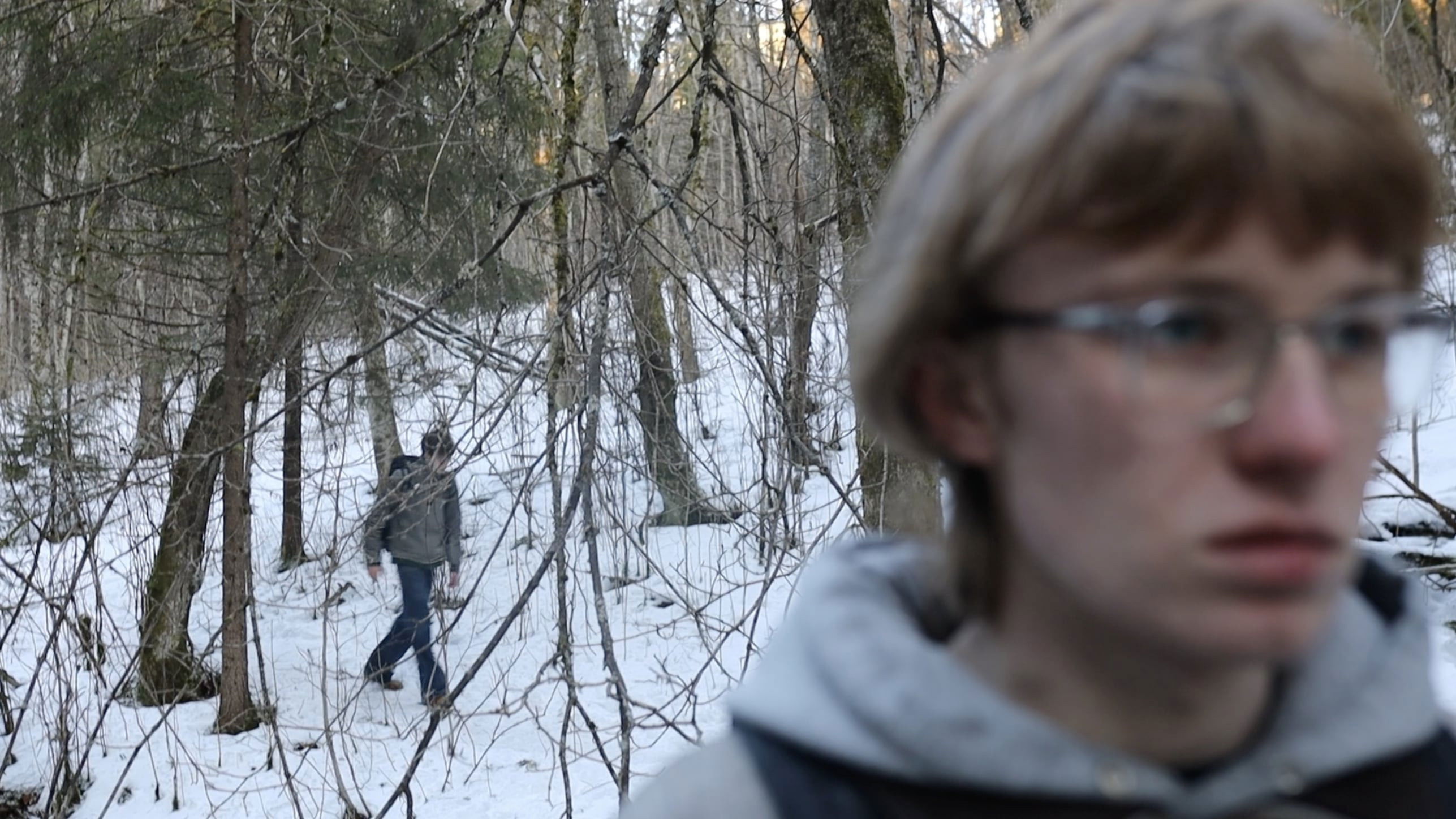 Backdrop for Permafrost