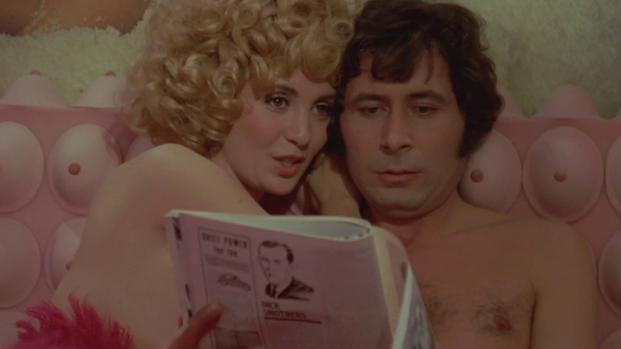 Backdrop for Master Cats