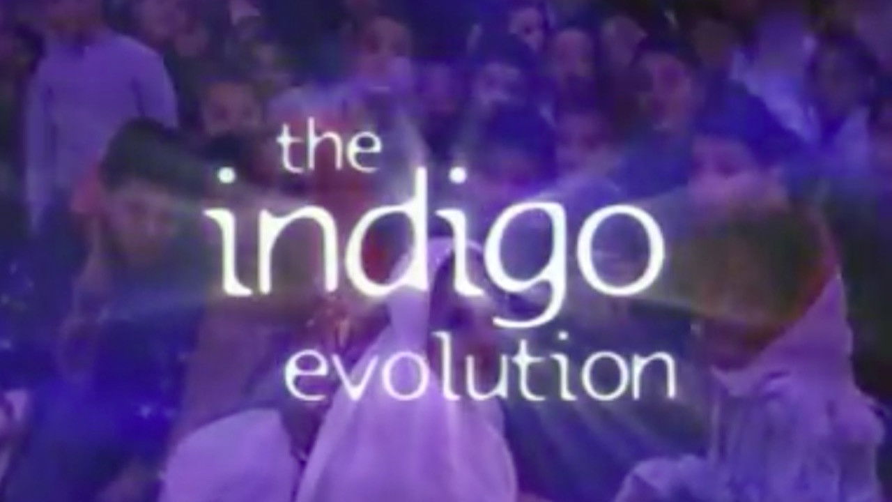 Backdrop for The Indigo Evolution