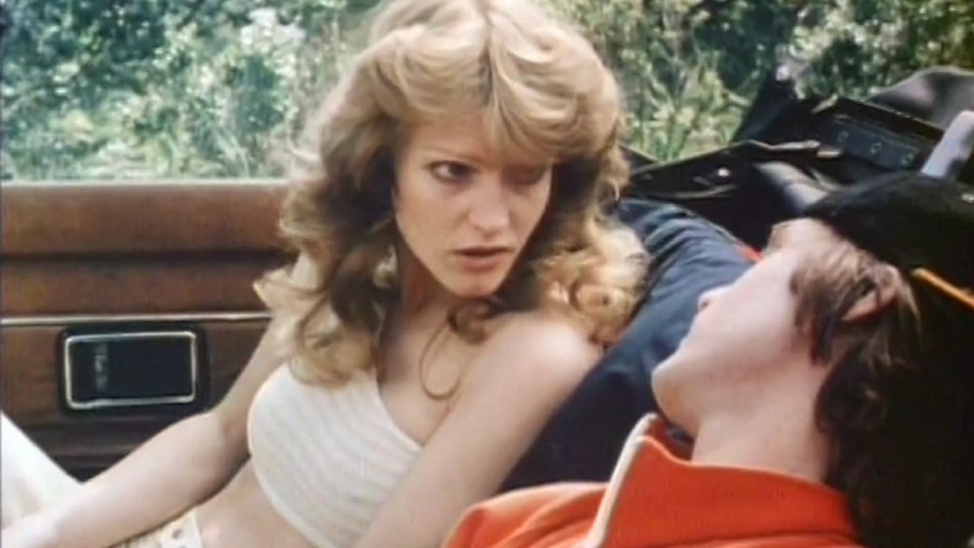 Backdrop for Vista Valley PTA