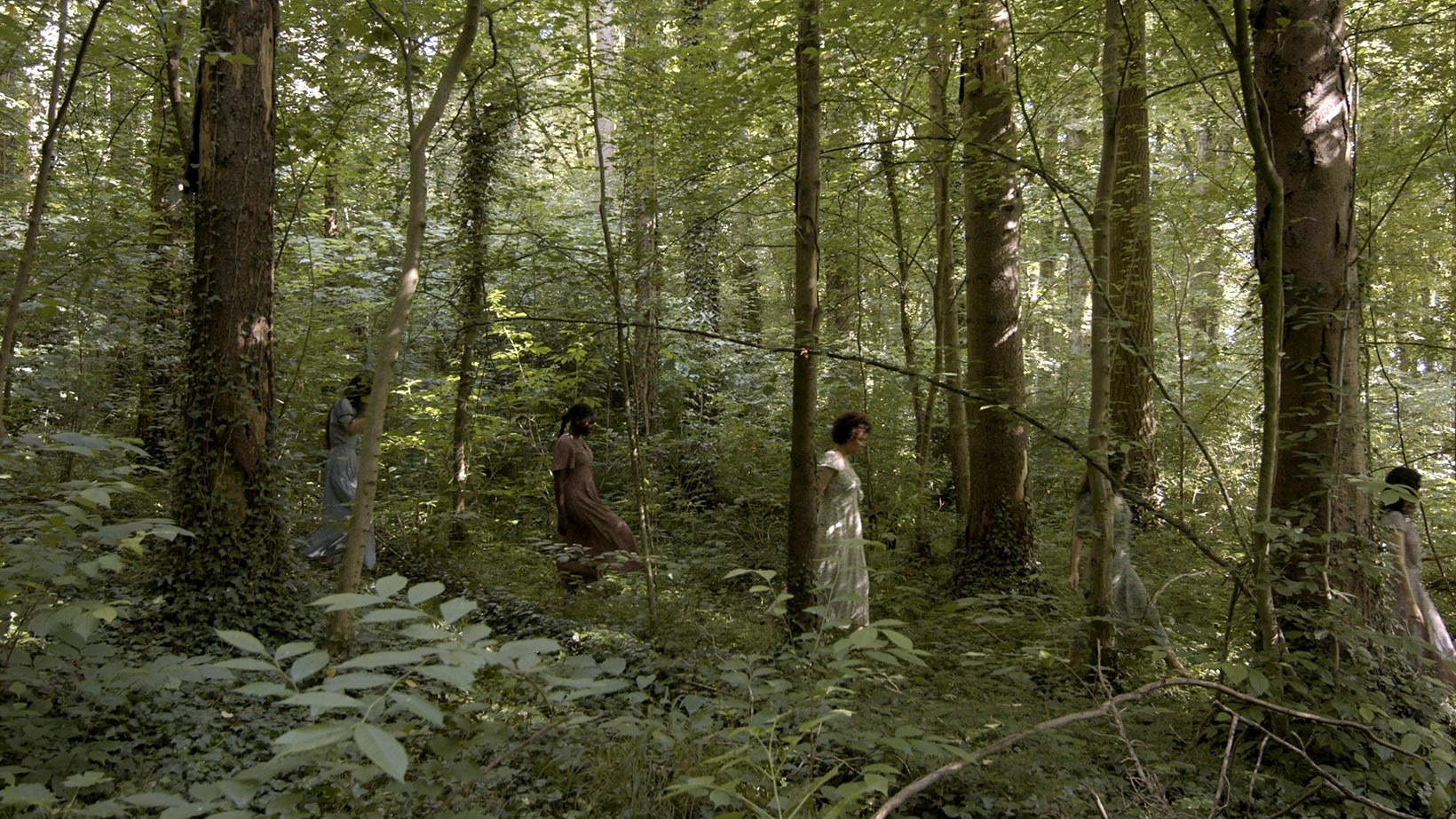 Backdrop for The Melusinas at the Edge of the River