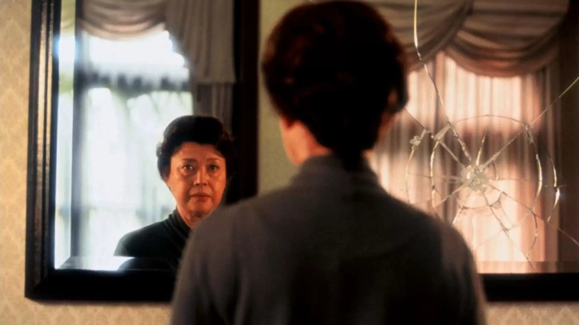 Backdrop for Women in the Mirror