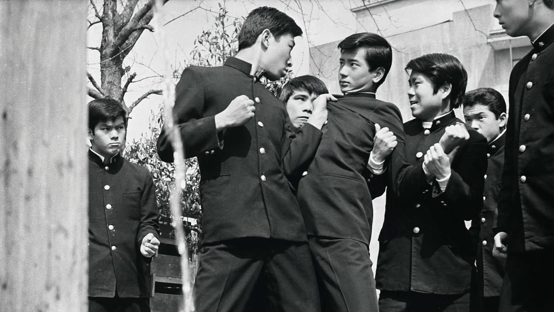 Backdrop for Seishun zenki: Aoi kajitsu