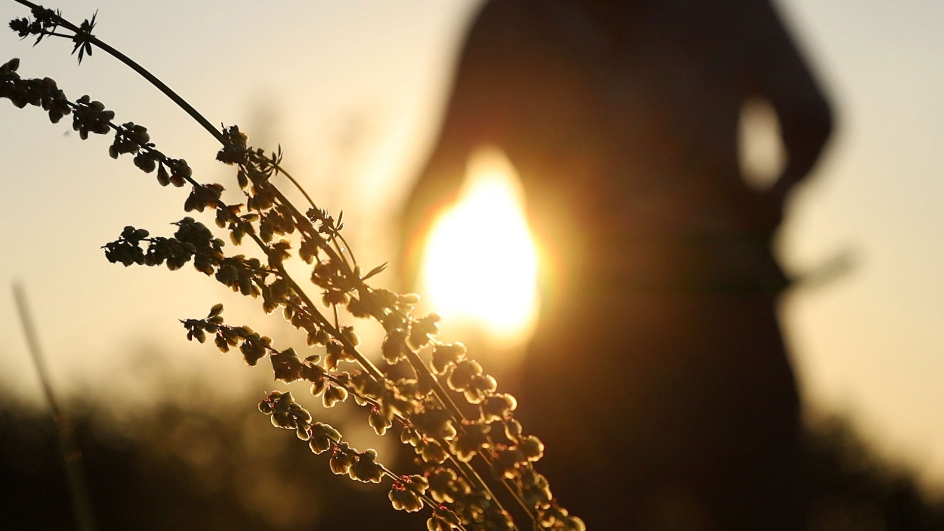 Backdrop for Garden of Eden