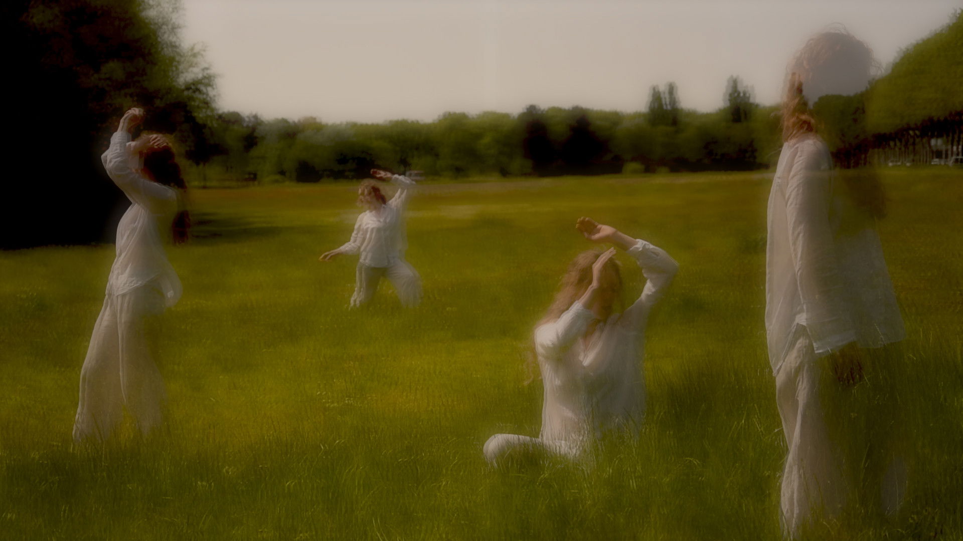 Backdrop for Stinging Nettles