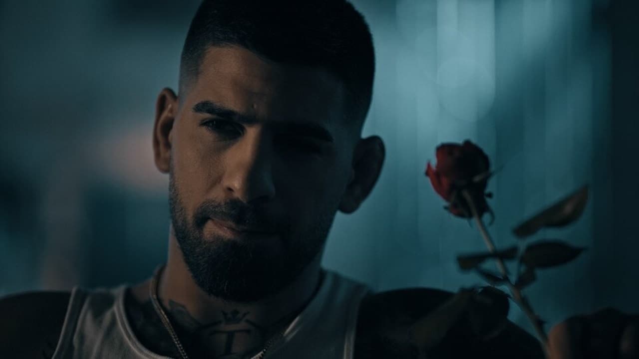 Backdrop for Topuria. Matador