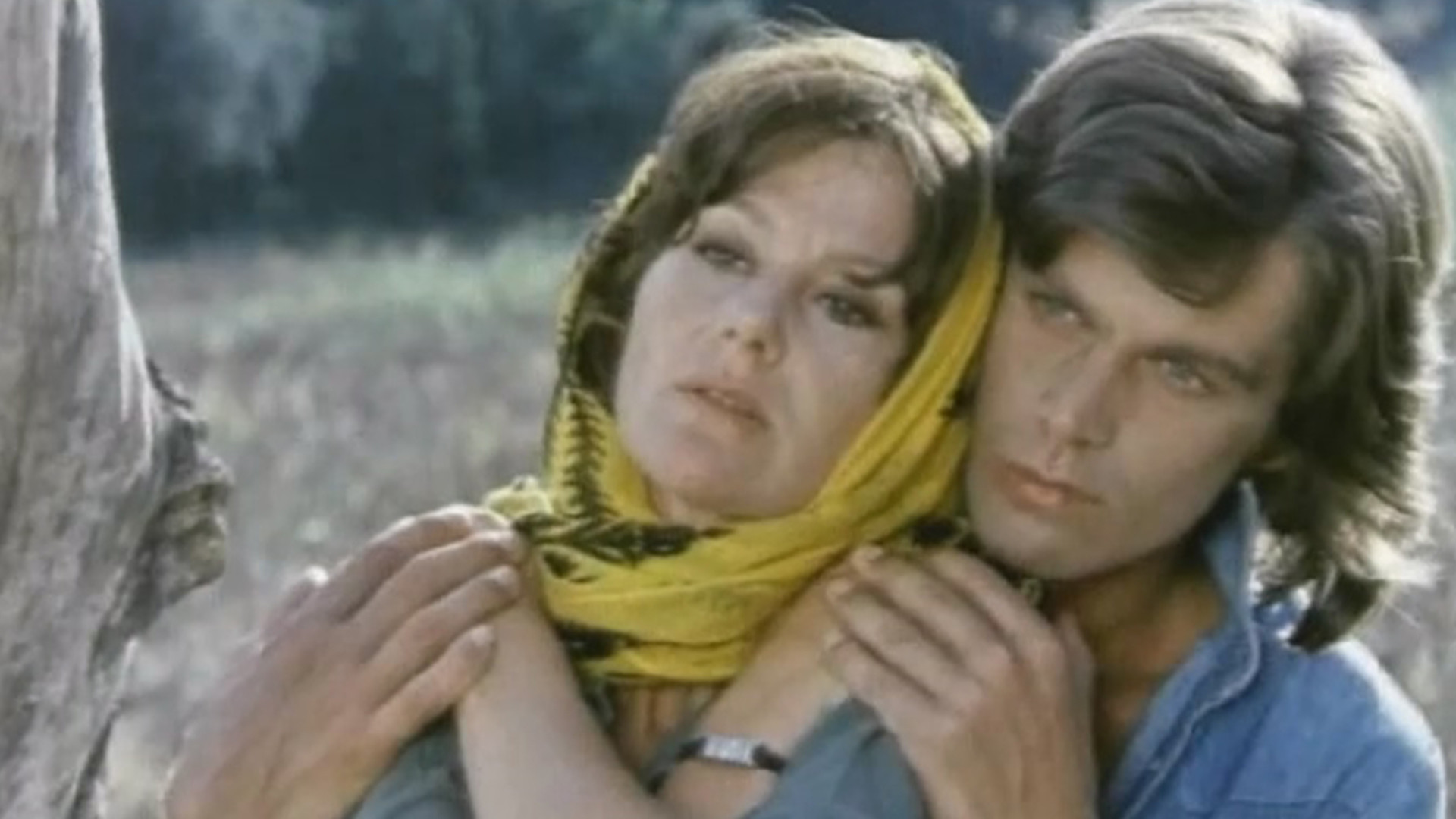 Backdrop for House on the Rocks