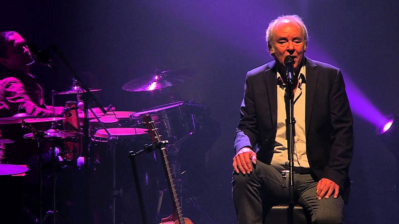 Backdrop for Maxime Le Forestier - Olympia 2014