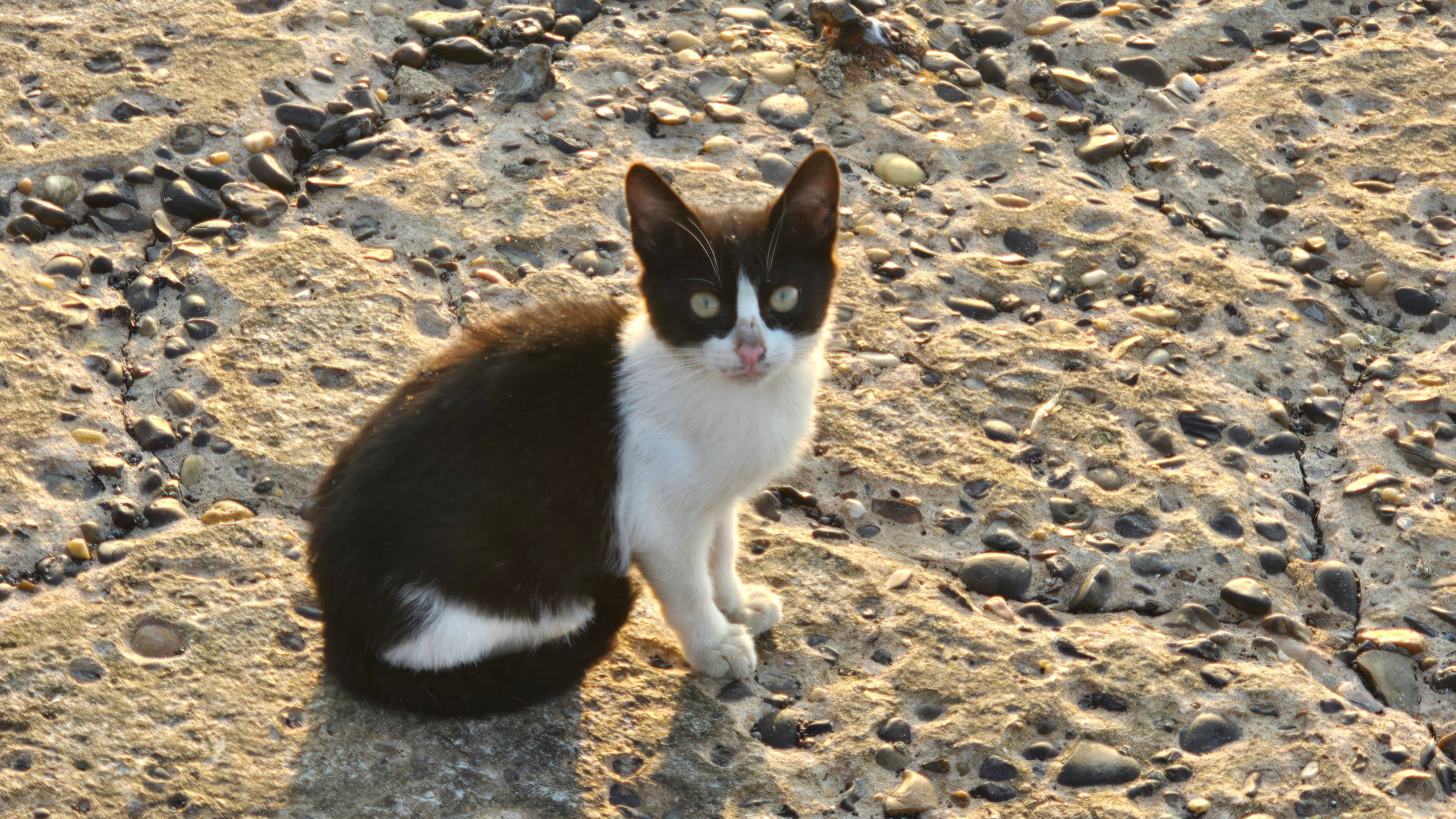 Backdrop for Love Poems Part II: Alexandria
