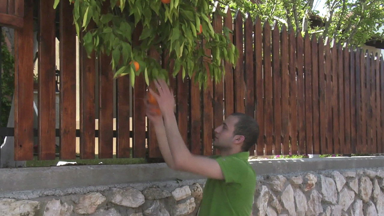 Backdrop for Oranges