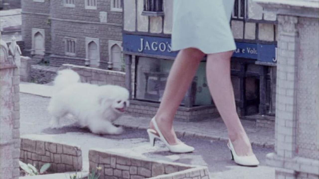 Backdrop for One Summer in Somerset