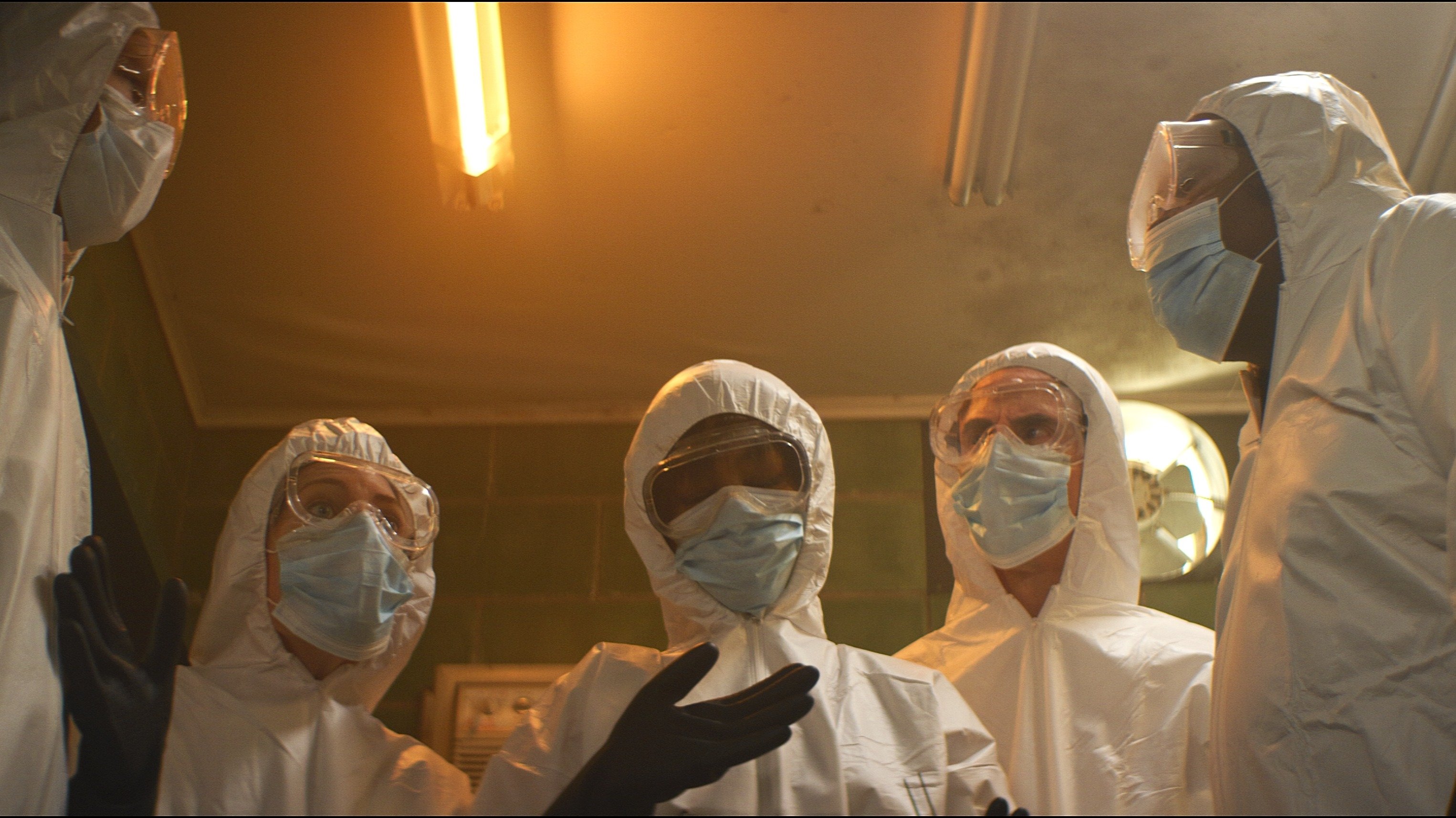 Backdrop for Shimmer