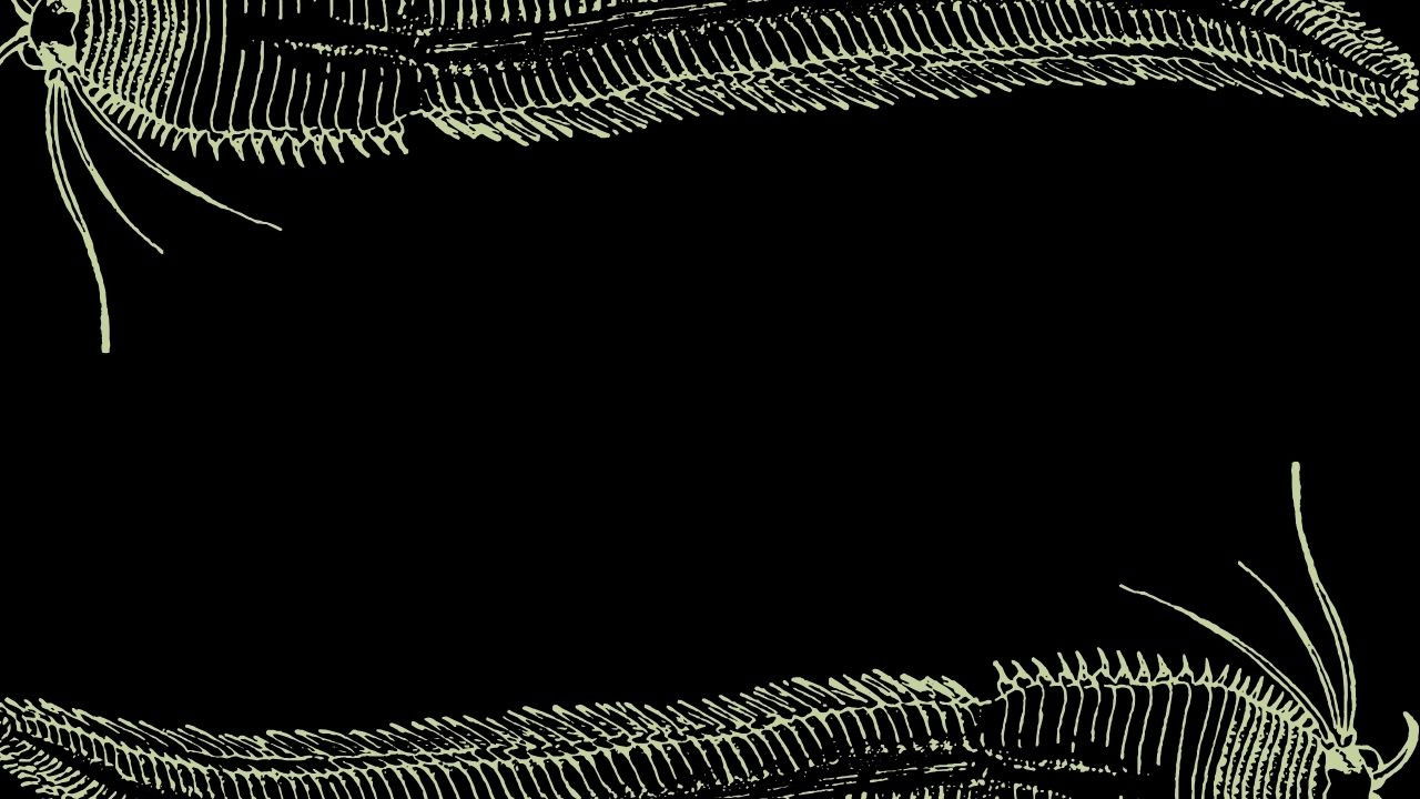 Backdrop for Podres Alegorias