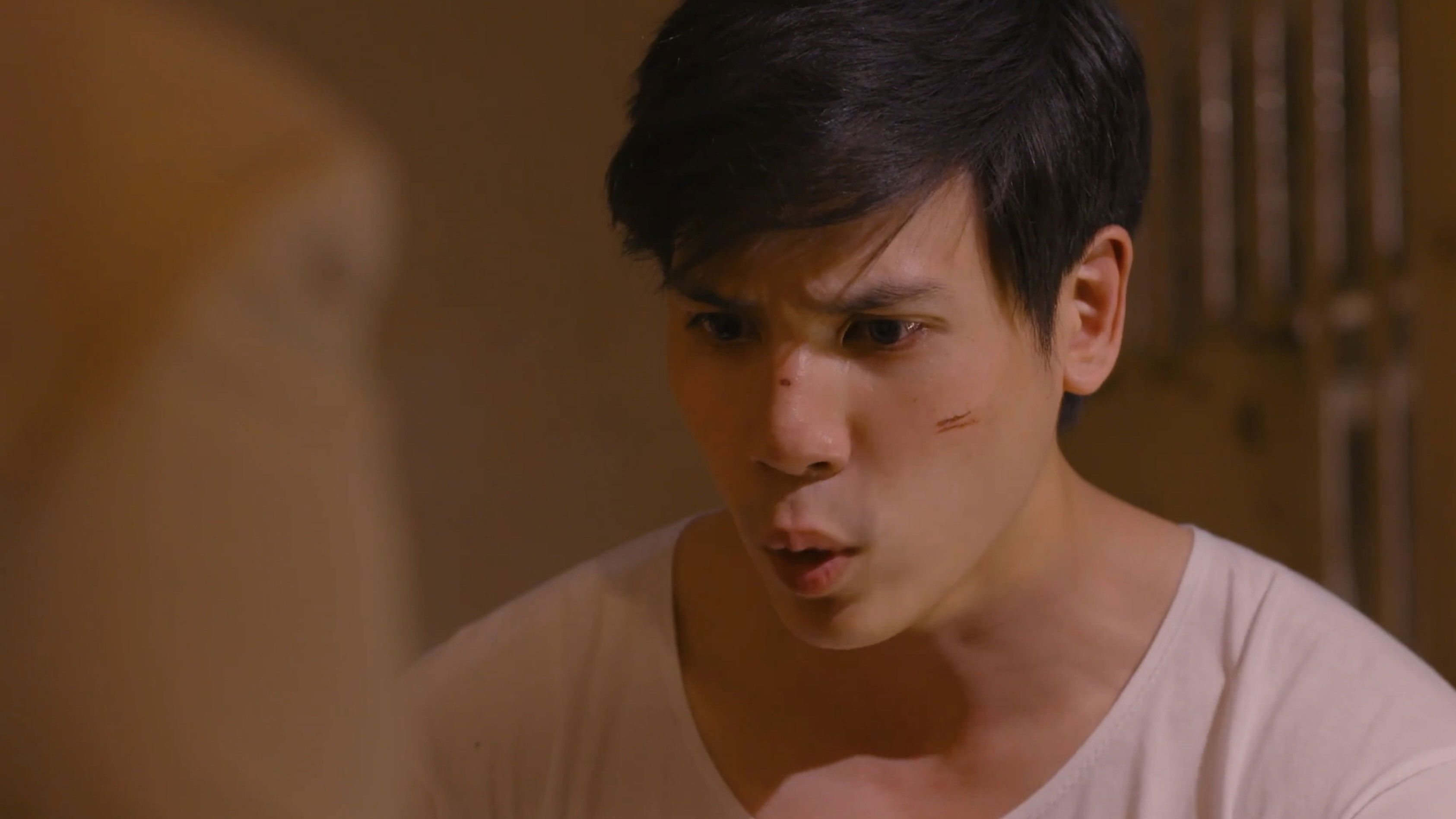 Backdrop for Inspector Vedas