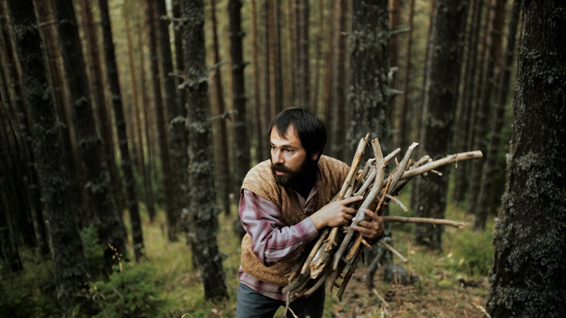 Backdrop for Watchtower