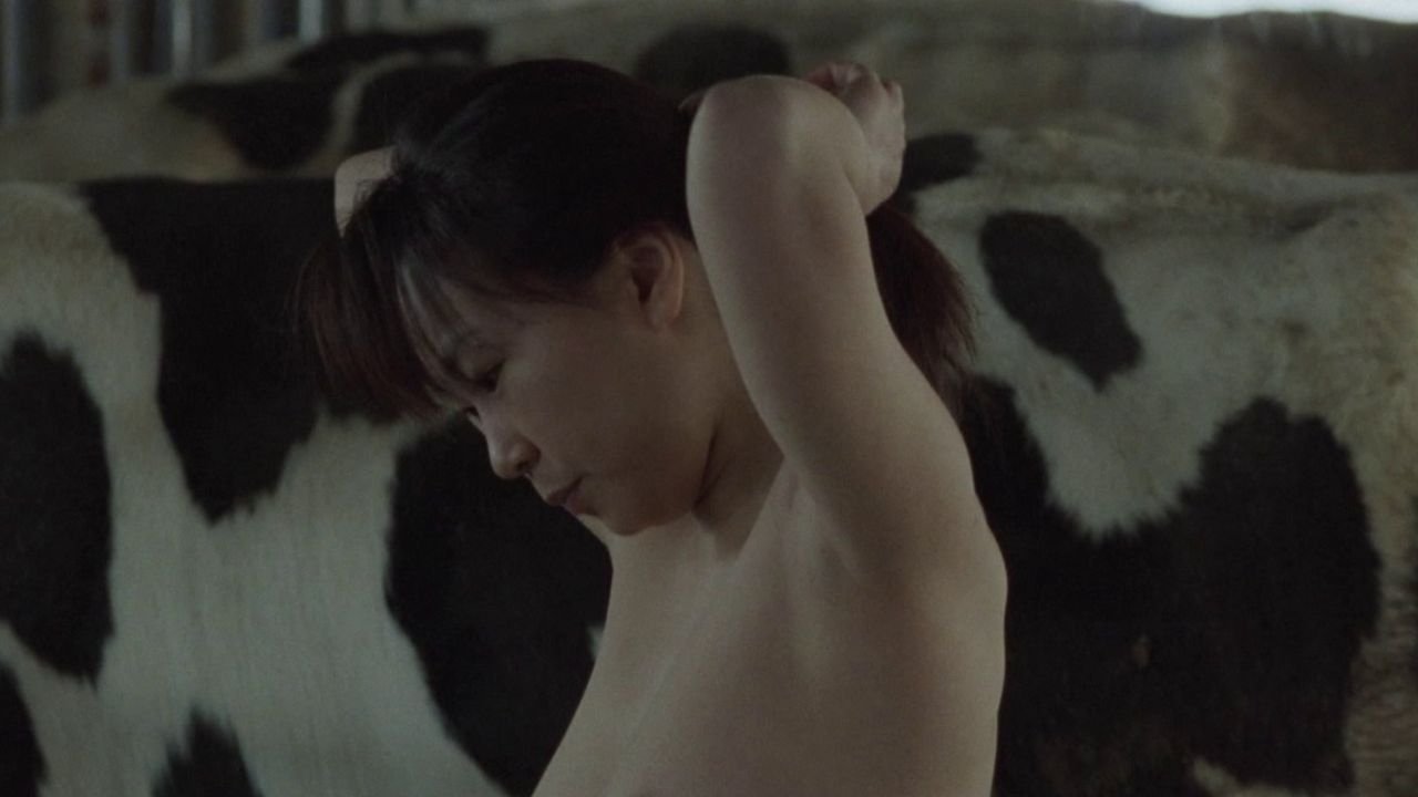 Backdrop for A Lonely Cow Weeps at Dawn