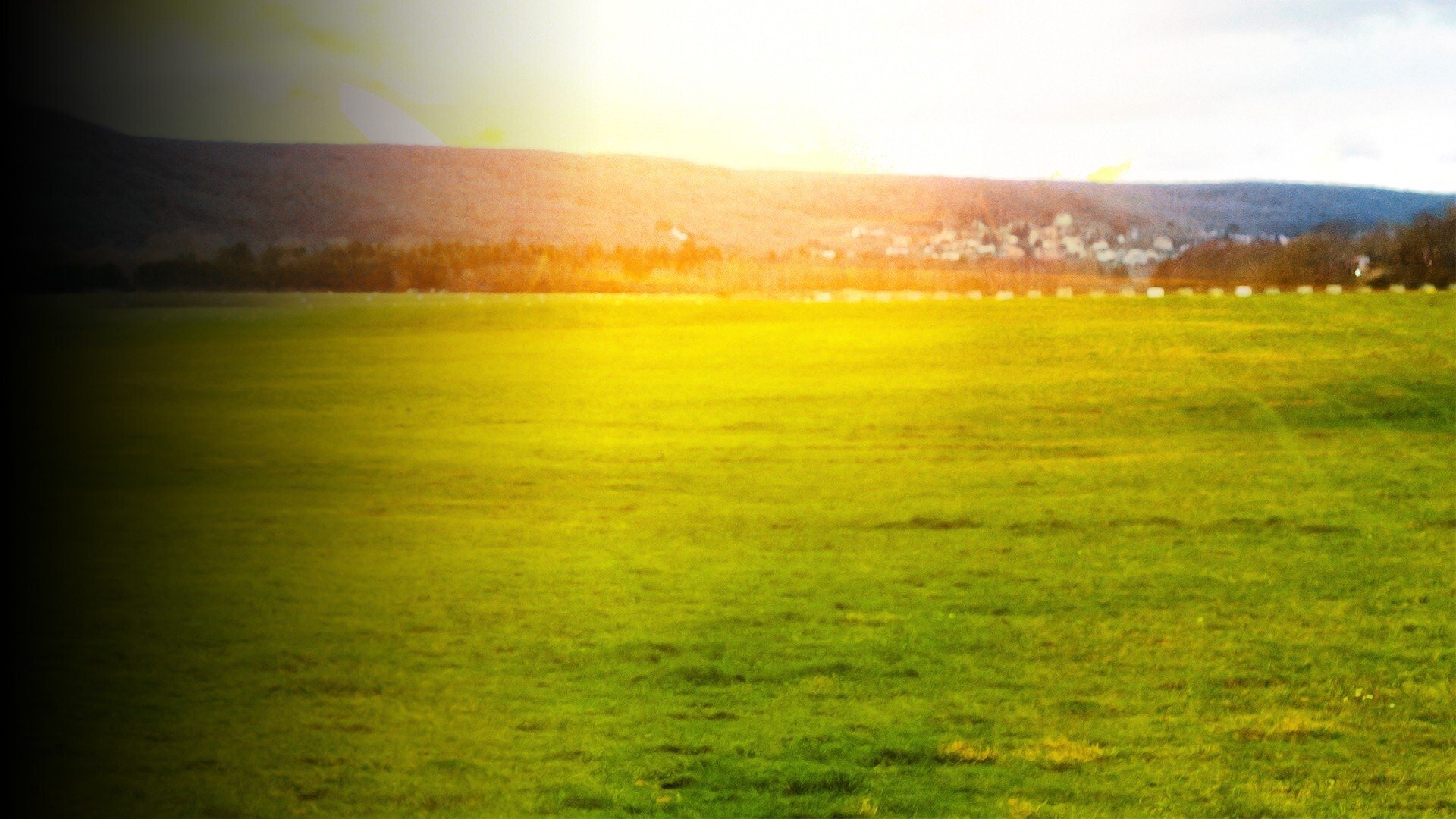 Backdrop for Above the Sky