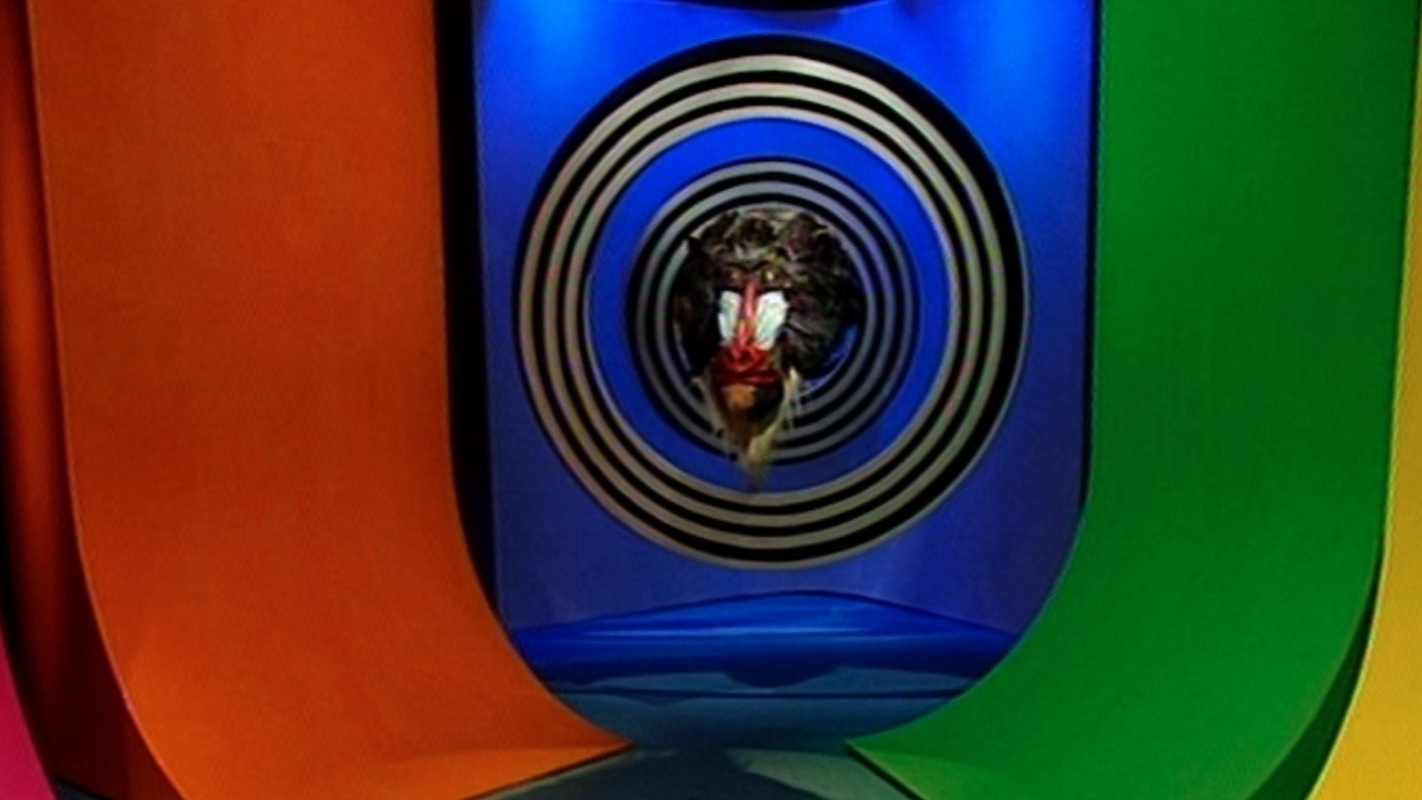 Backdrop for Casper & Mandrilaftalen 1: Kig