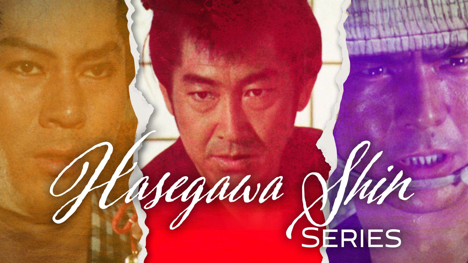 Backdrop for The Shin Hasegawa Series