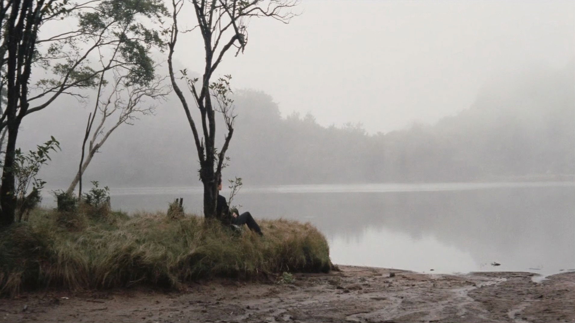 Backdrop for School Festival Night: A Sweet Experience