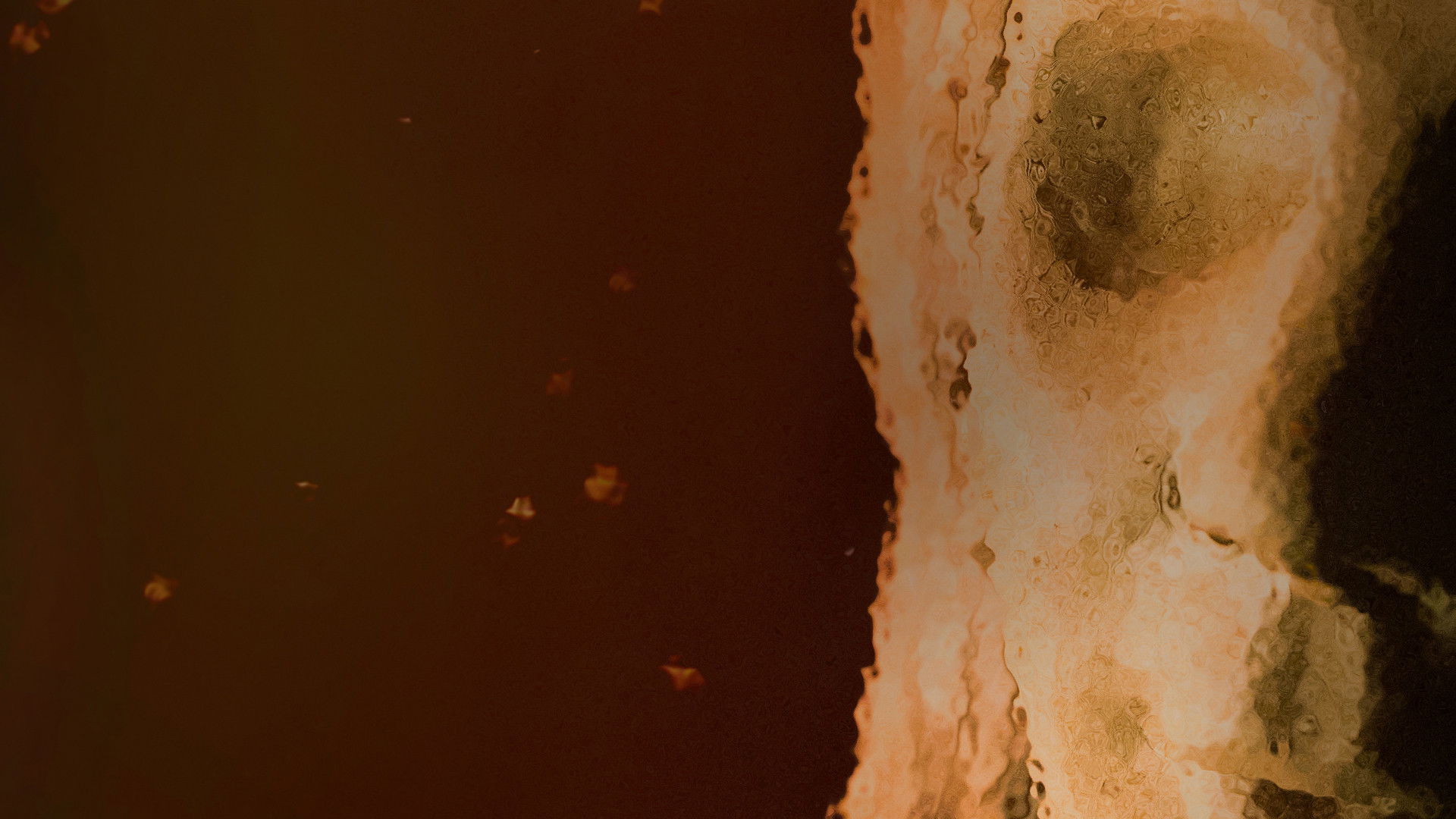 Backdrop for The Polizzi Project