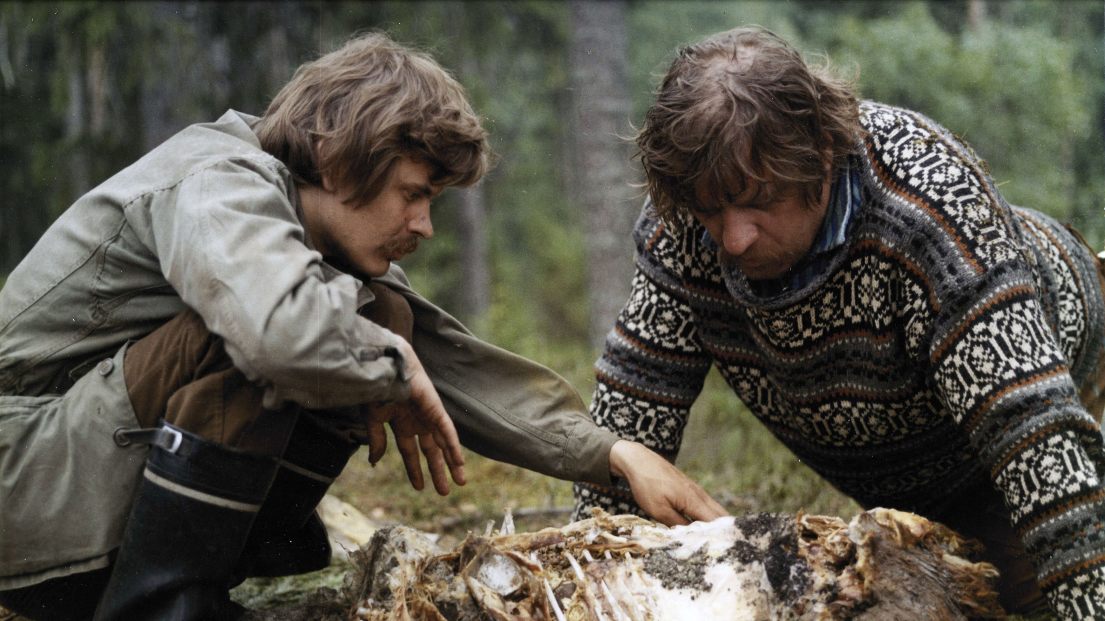 Backdrop for Lampaansyöjät