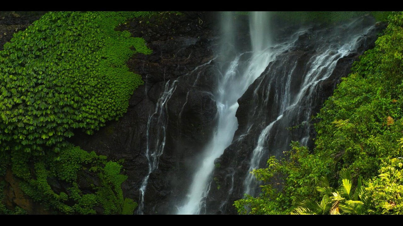 Backdrop for Bali & Beyond