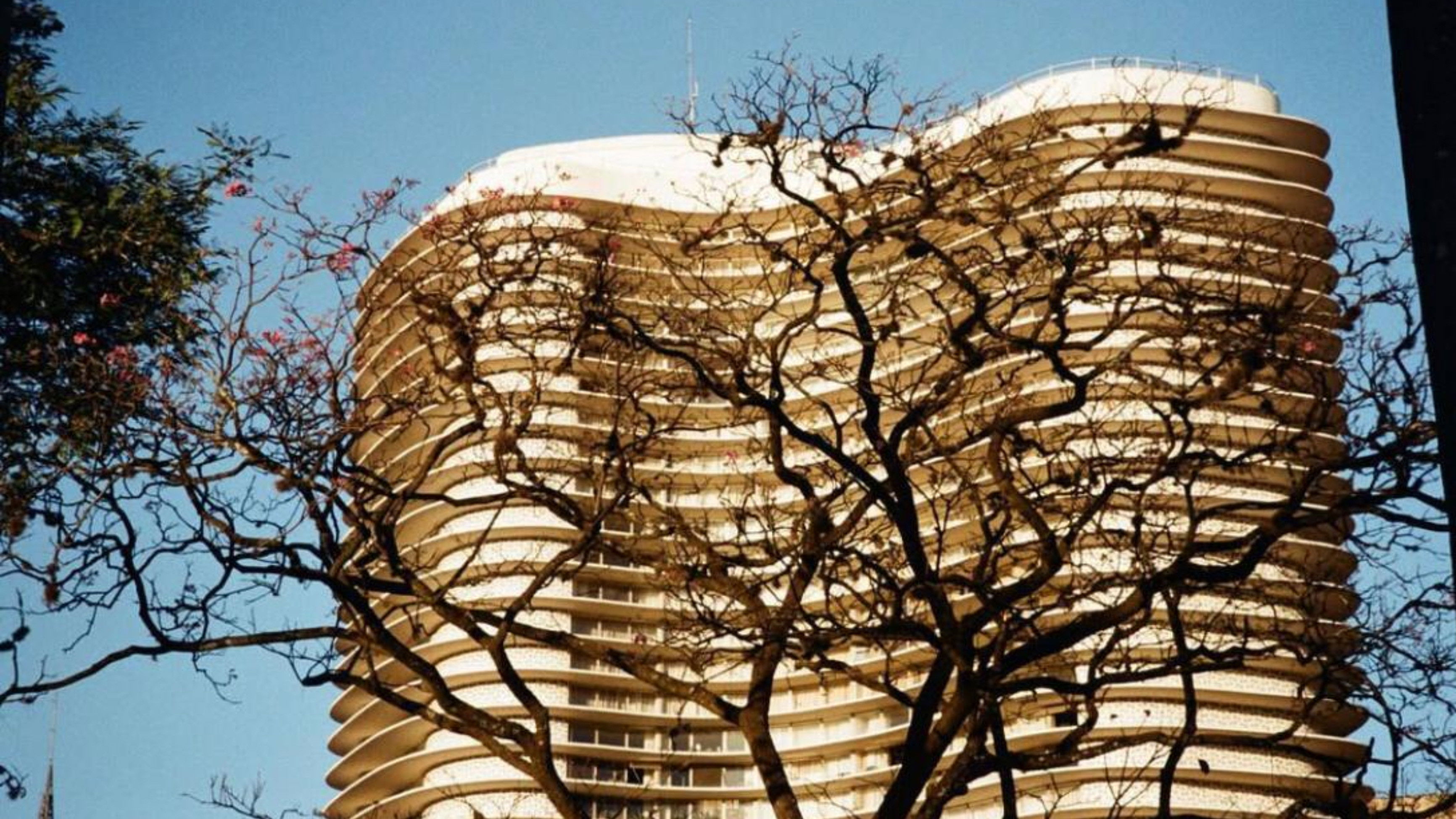 Backdrop for Bassman