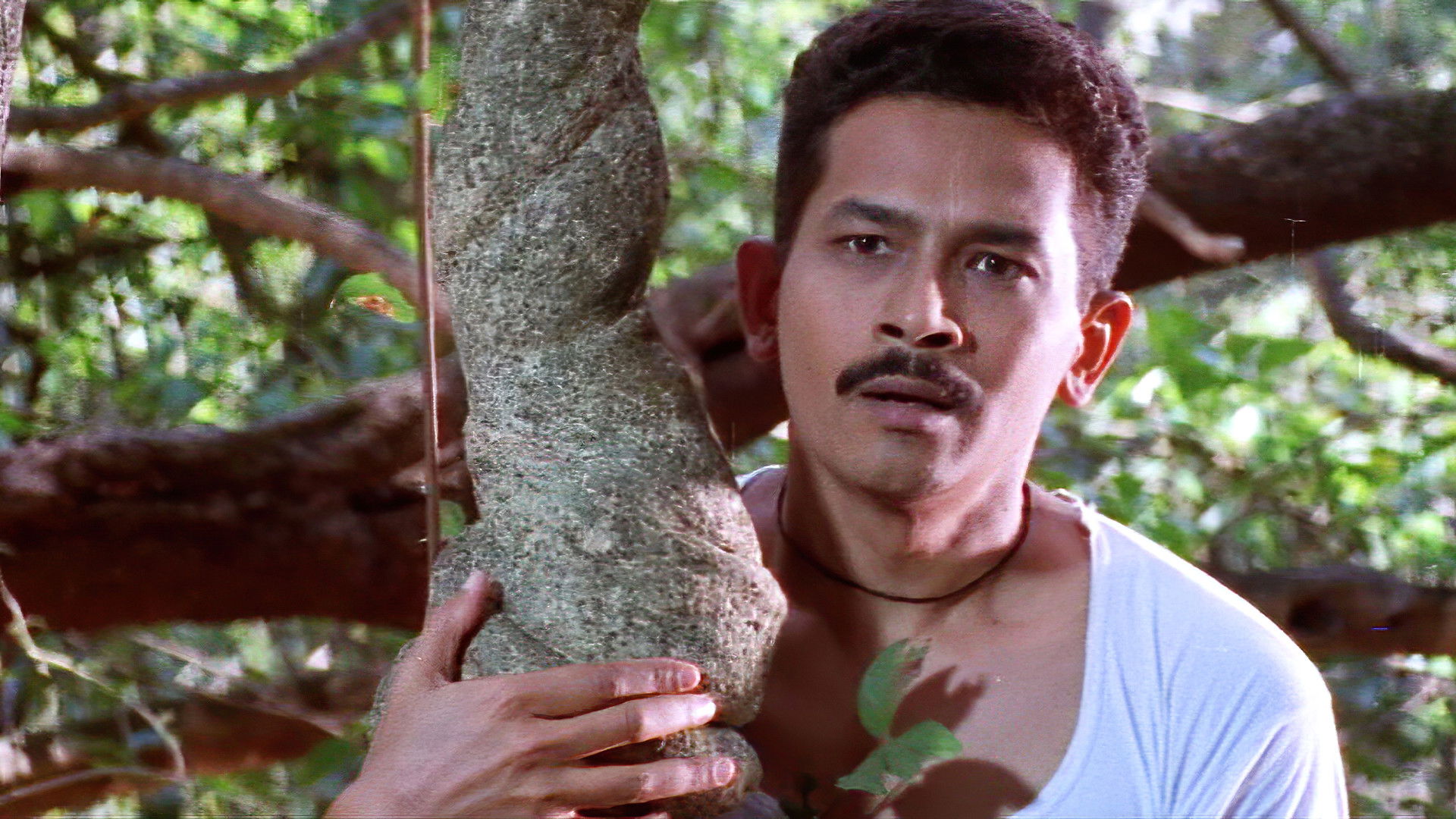 Backdrop for The Sacred Grove