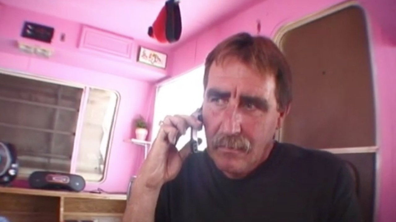 Backdrop for Doily's Summer of Freak Occurrences