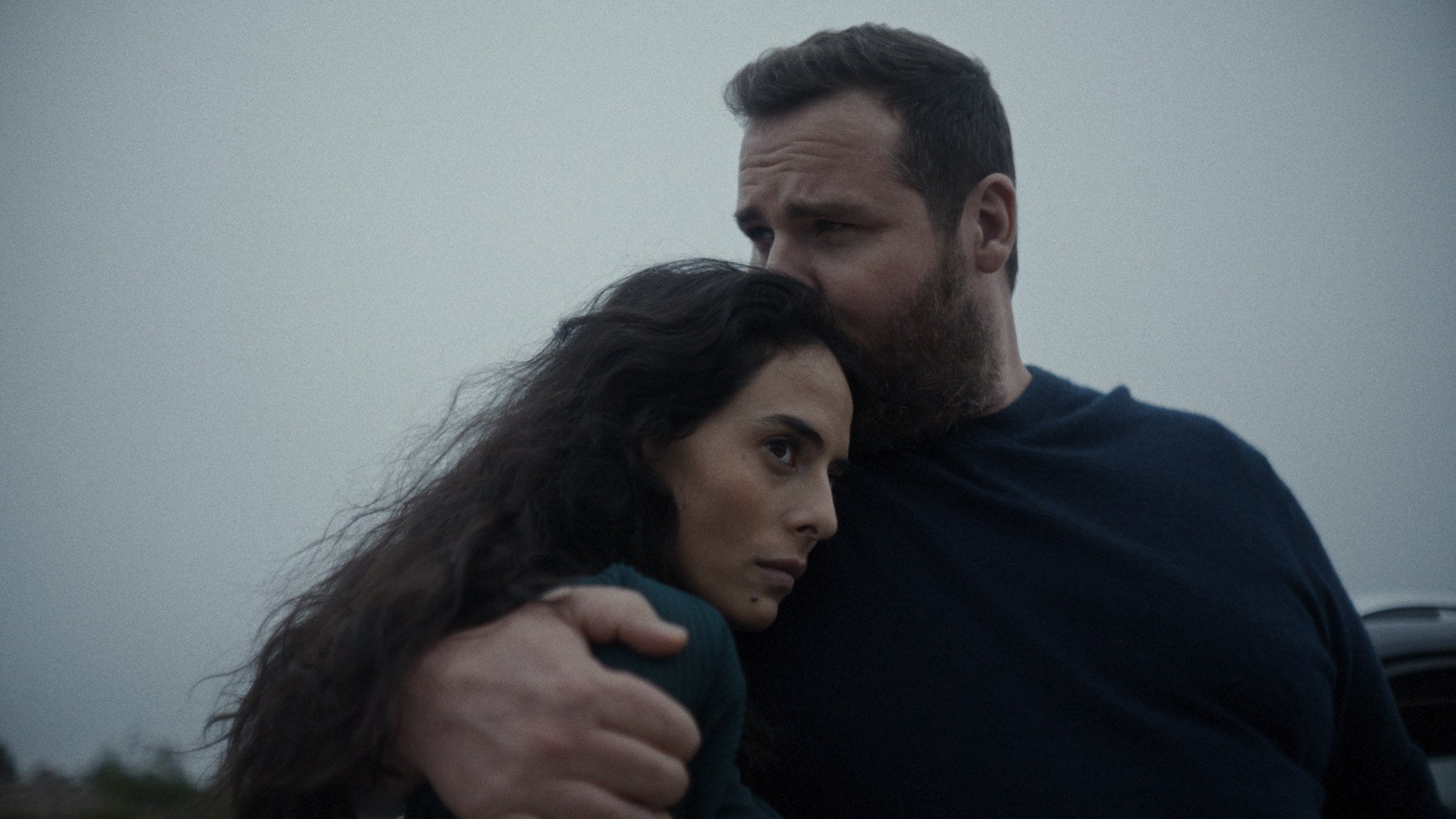 Backdrop for La Femme cachée