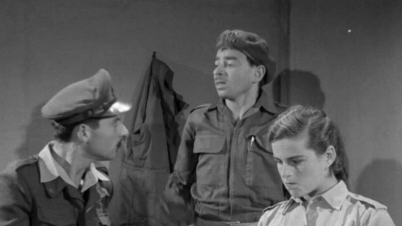 Backdrop for Moishe Air-Condition