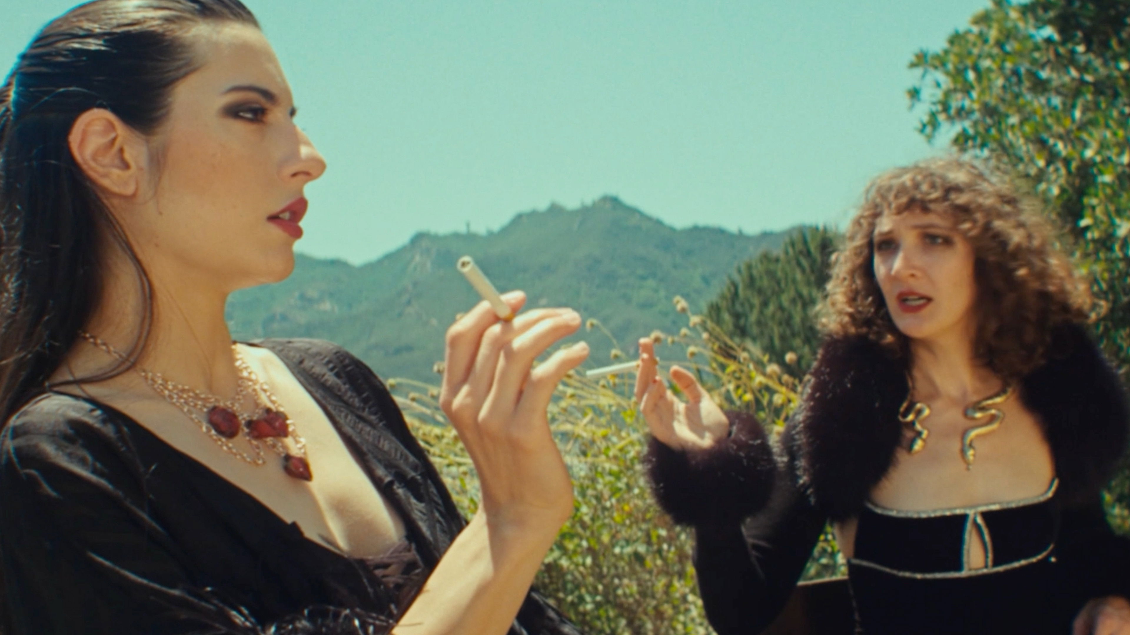 Backdrop for Mountain Bois