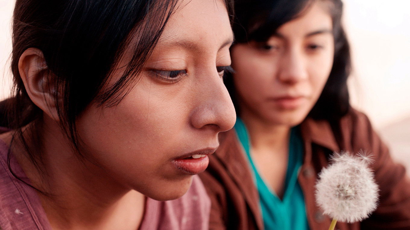 Backdrop for Dandelion