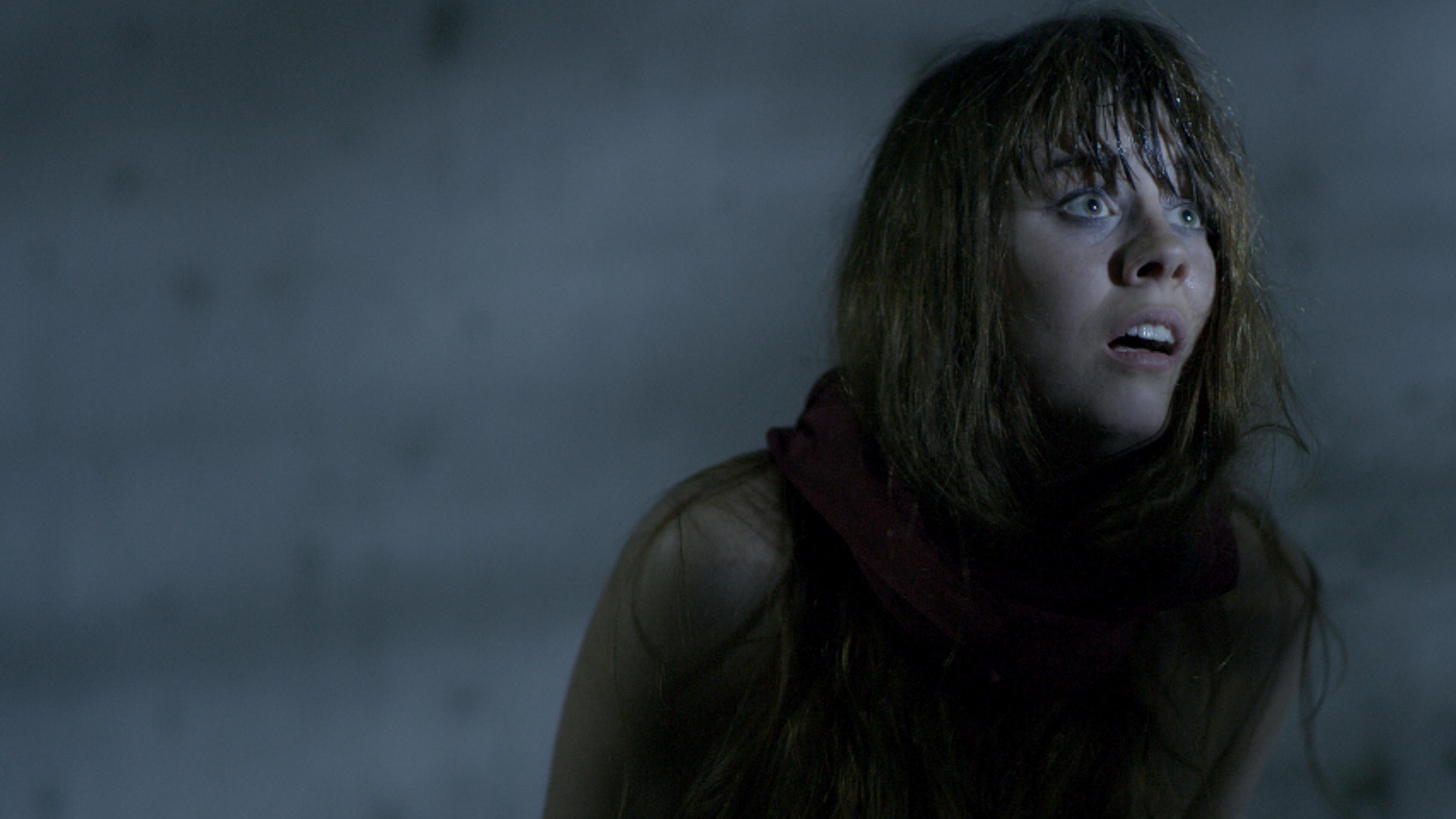 Backdrop for The Longest Night