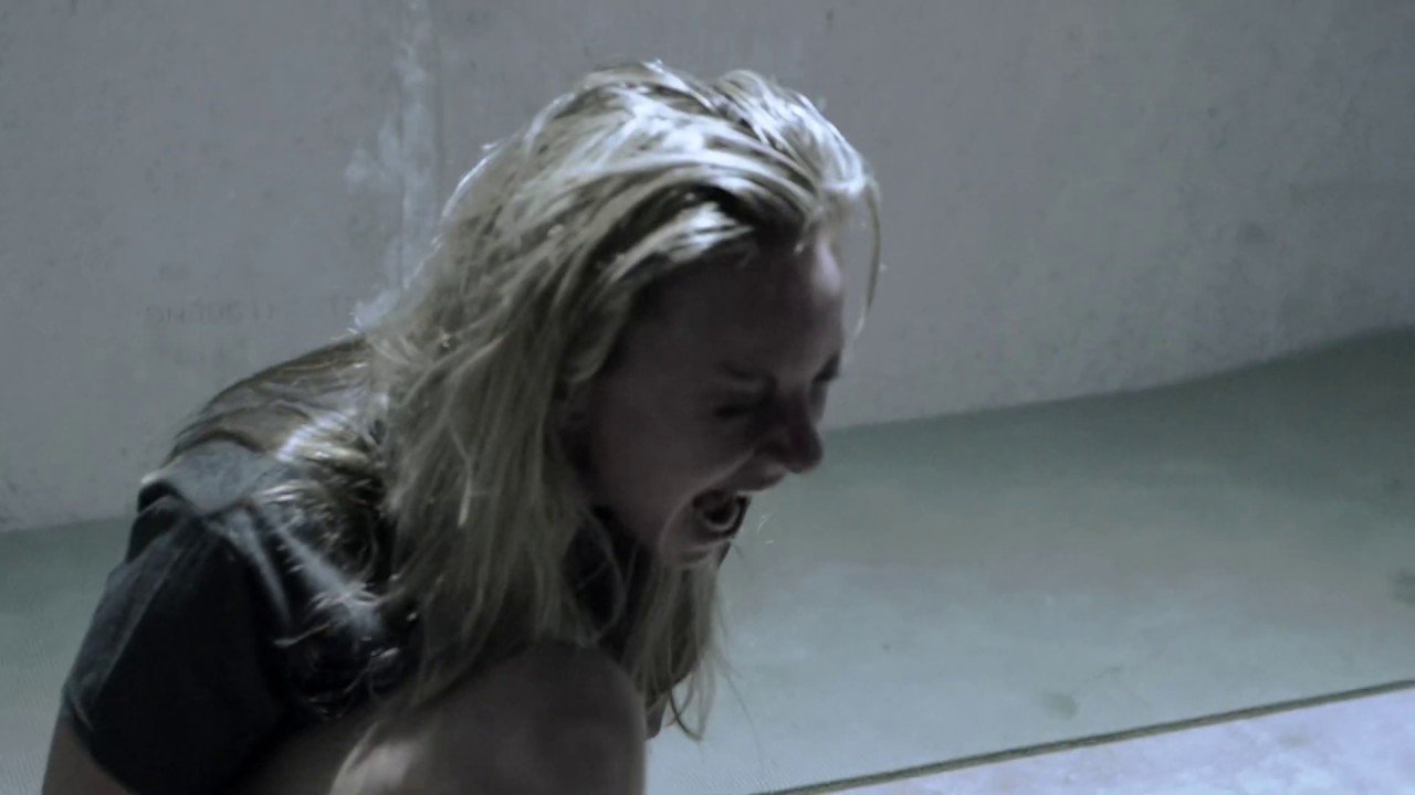 Backdrop for Human Zoo