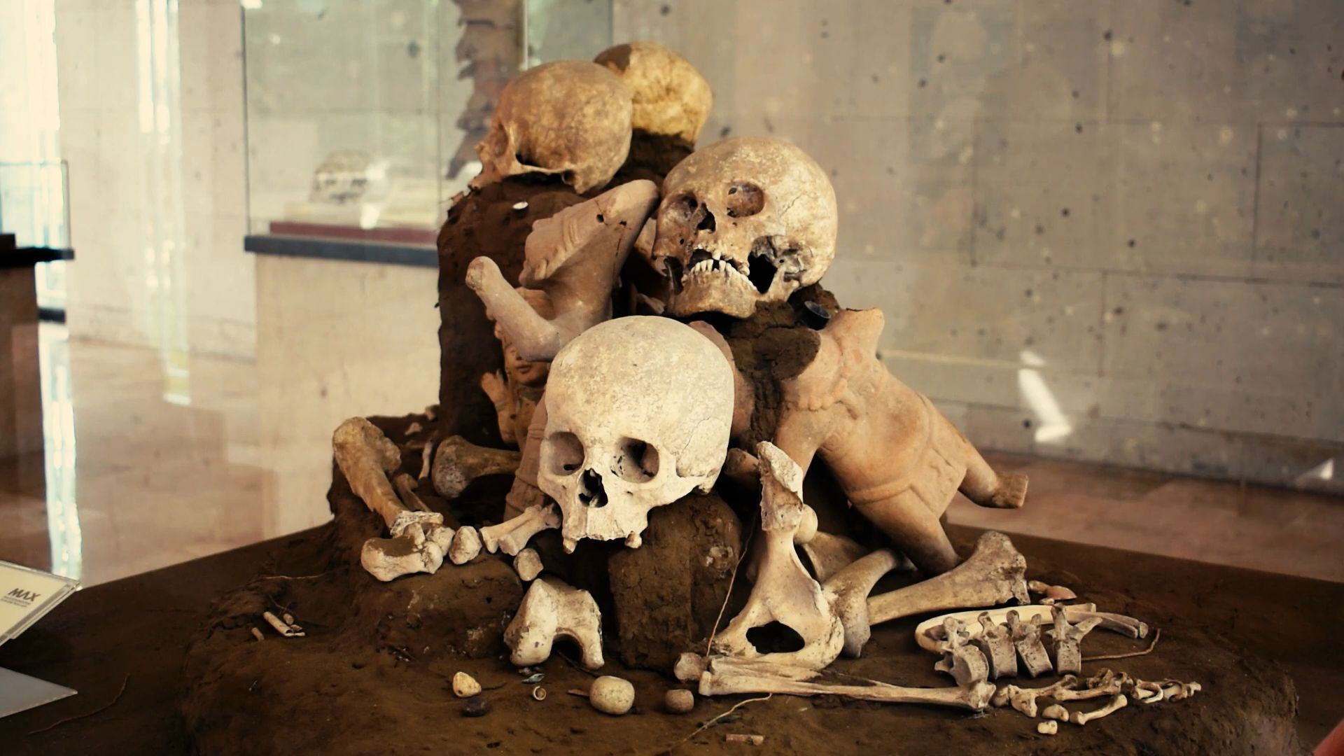 Backdrop for No Se Acabarán Mis Flores