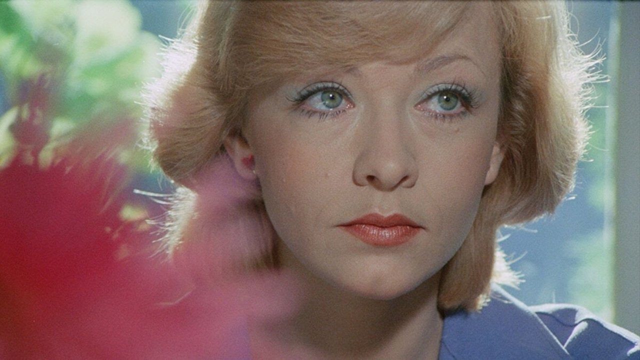 Backdrop for Pavle Pavlovic