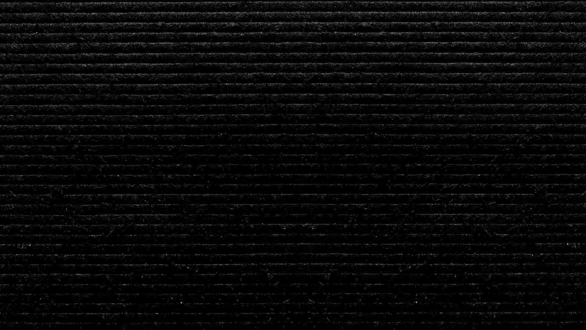 Backdrop for Celebrity Substitute