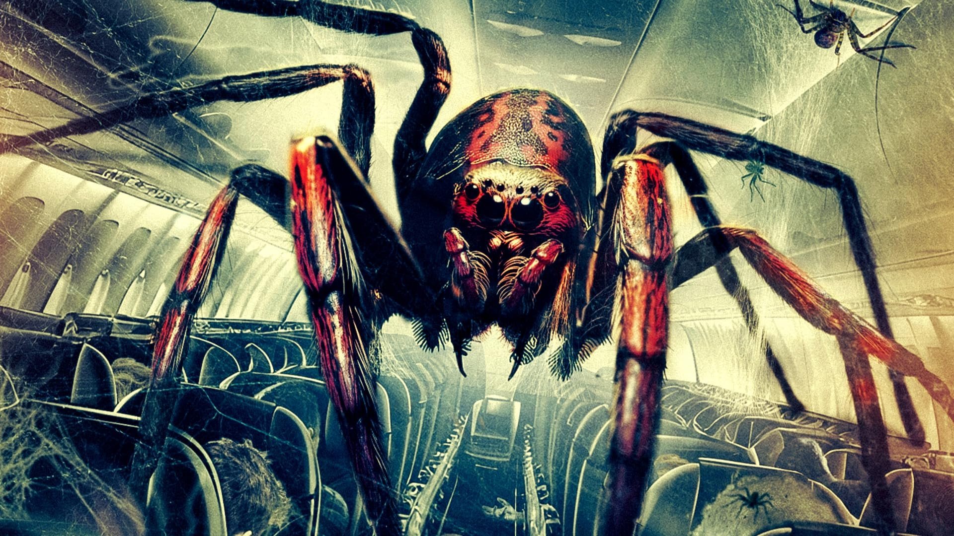 Backdrop for Spiders on a Plane