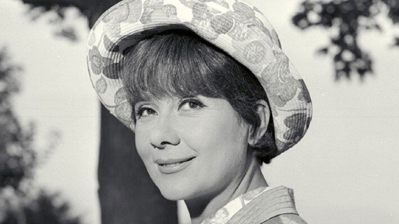 Backdrop for Story of My Foolishness