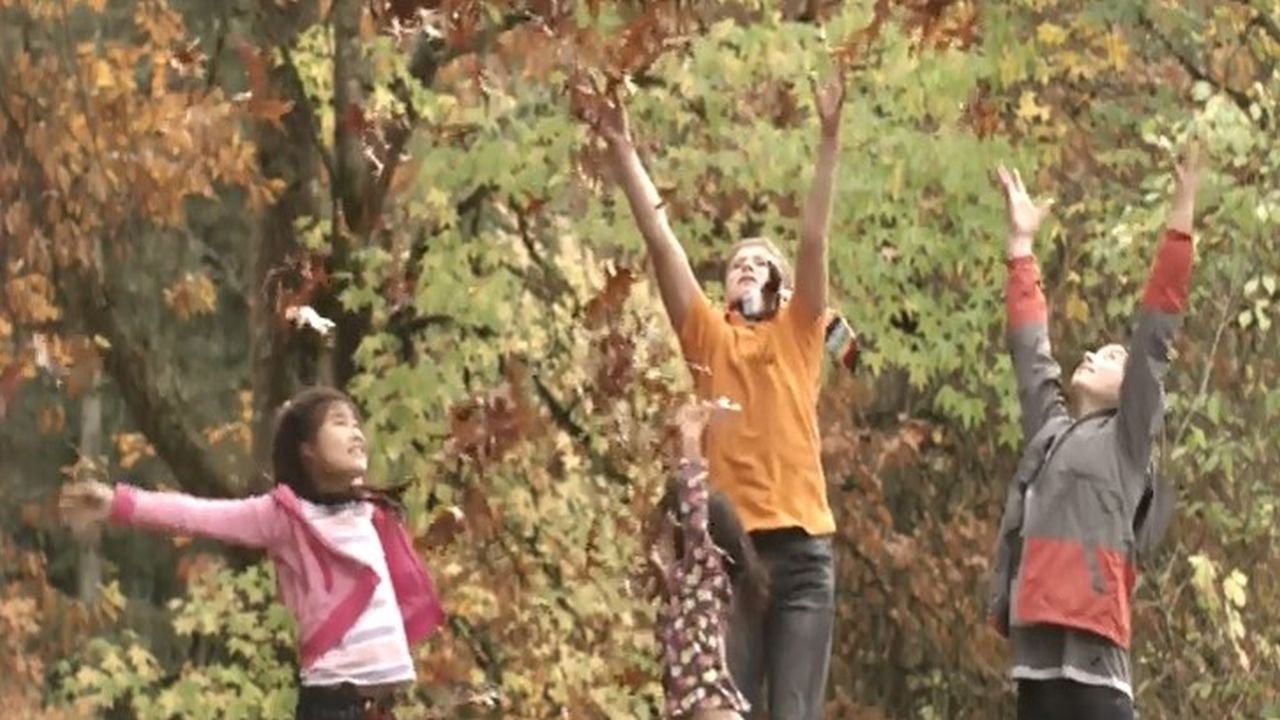 Backdrop for The Once