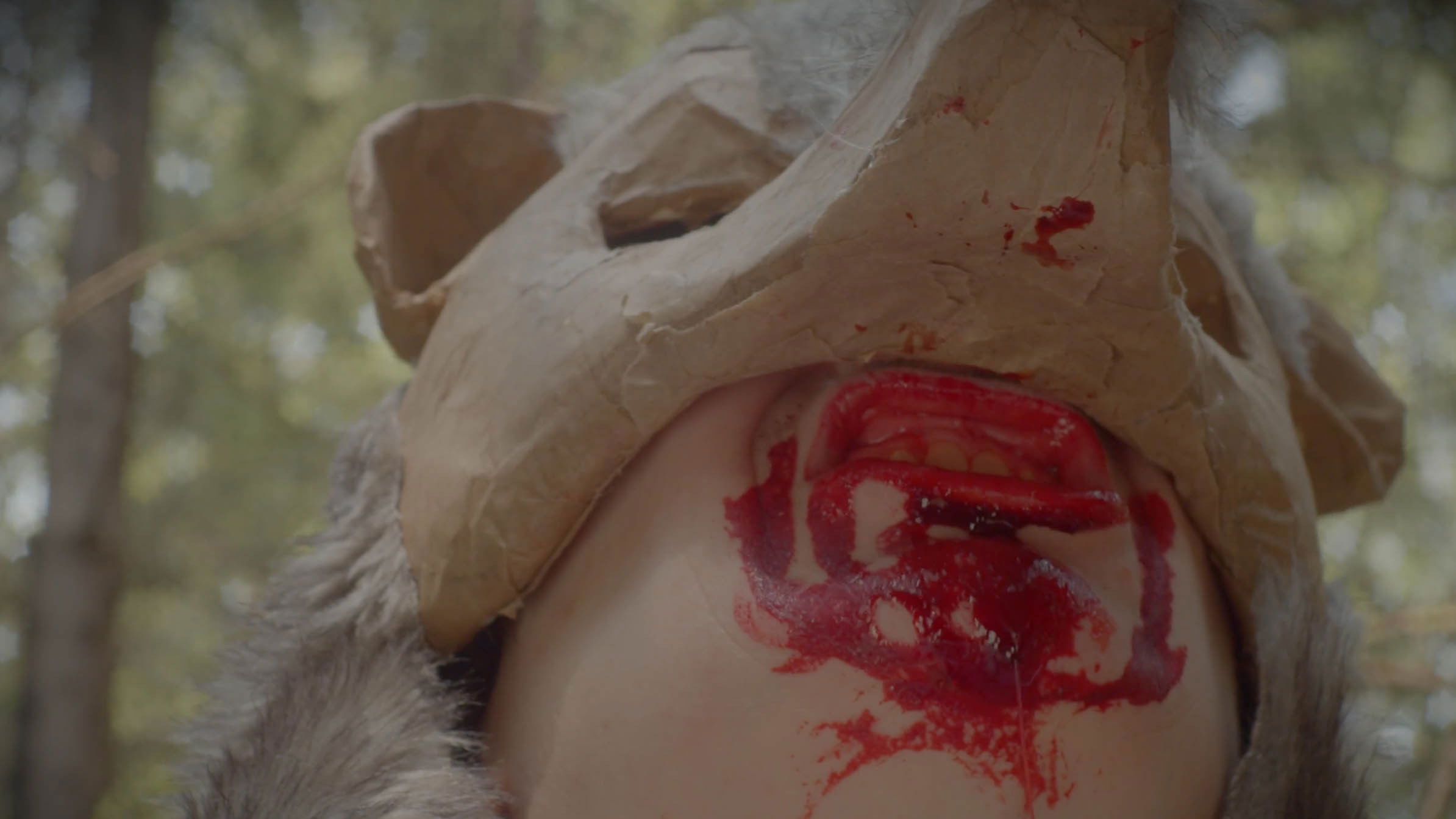 Backdrop for Le Roman de Remort, ou les fabliaux inhumains & vilains de l'Ultime Carnaval