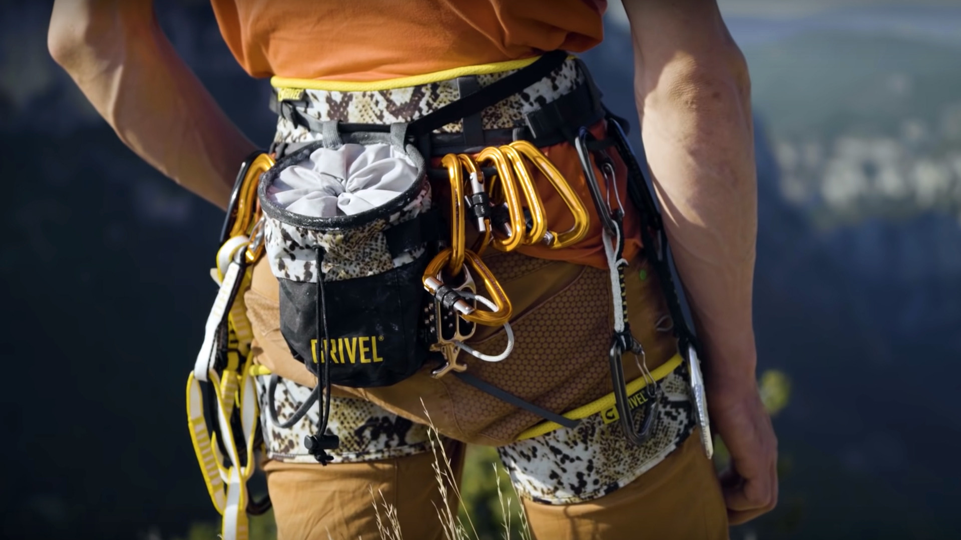 Backdrop for Verdon - The Show Must Go On