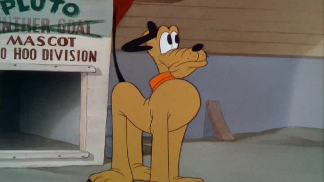 Backdrop for The Army Mascot