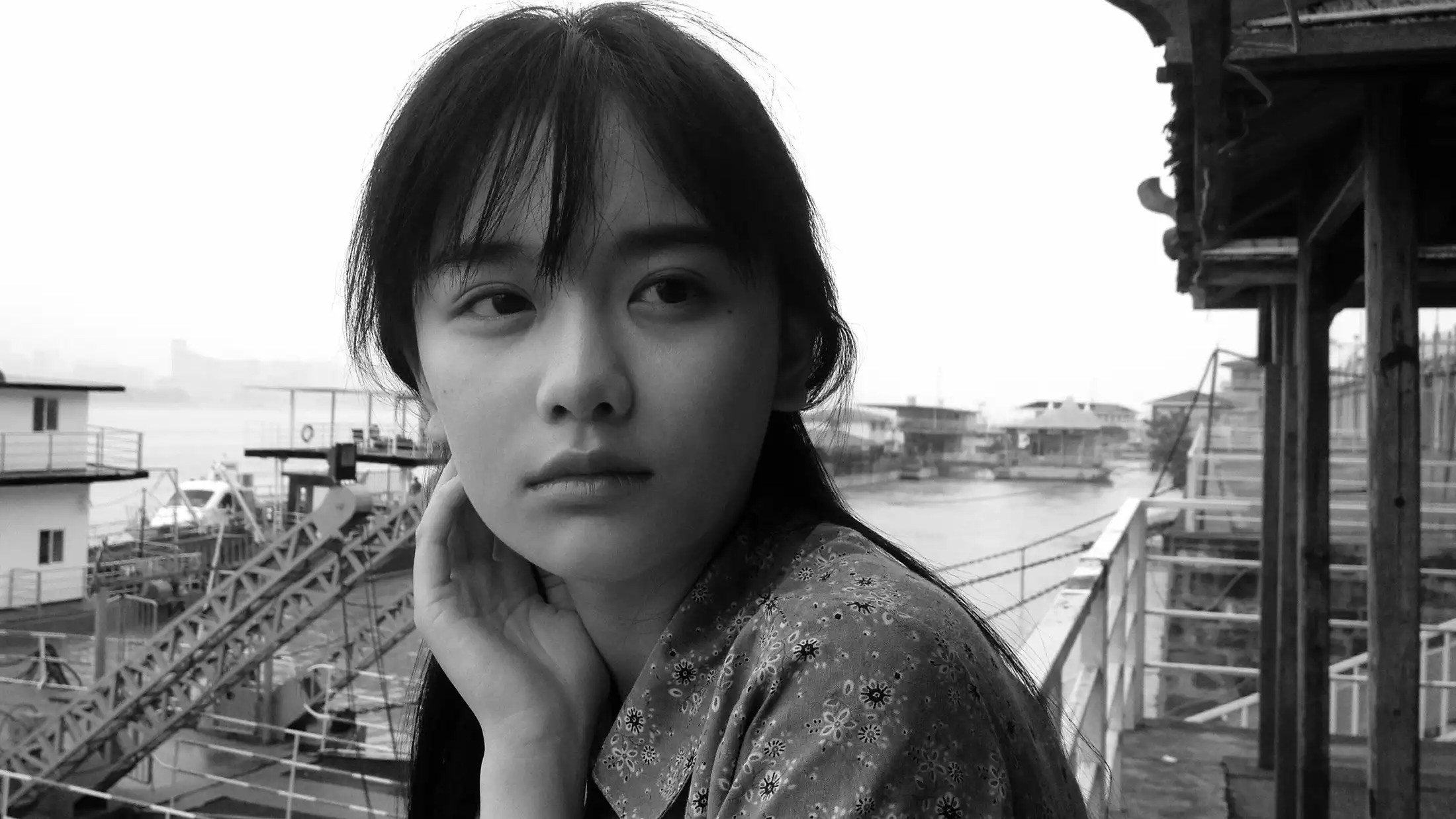 Backdrop for Back to the North