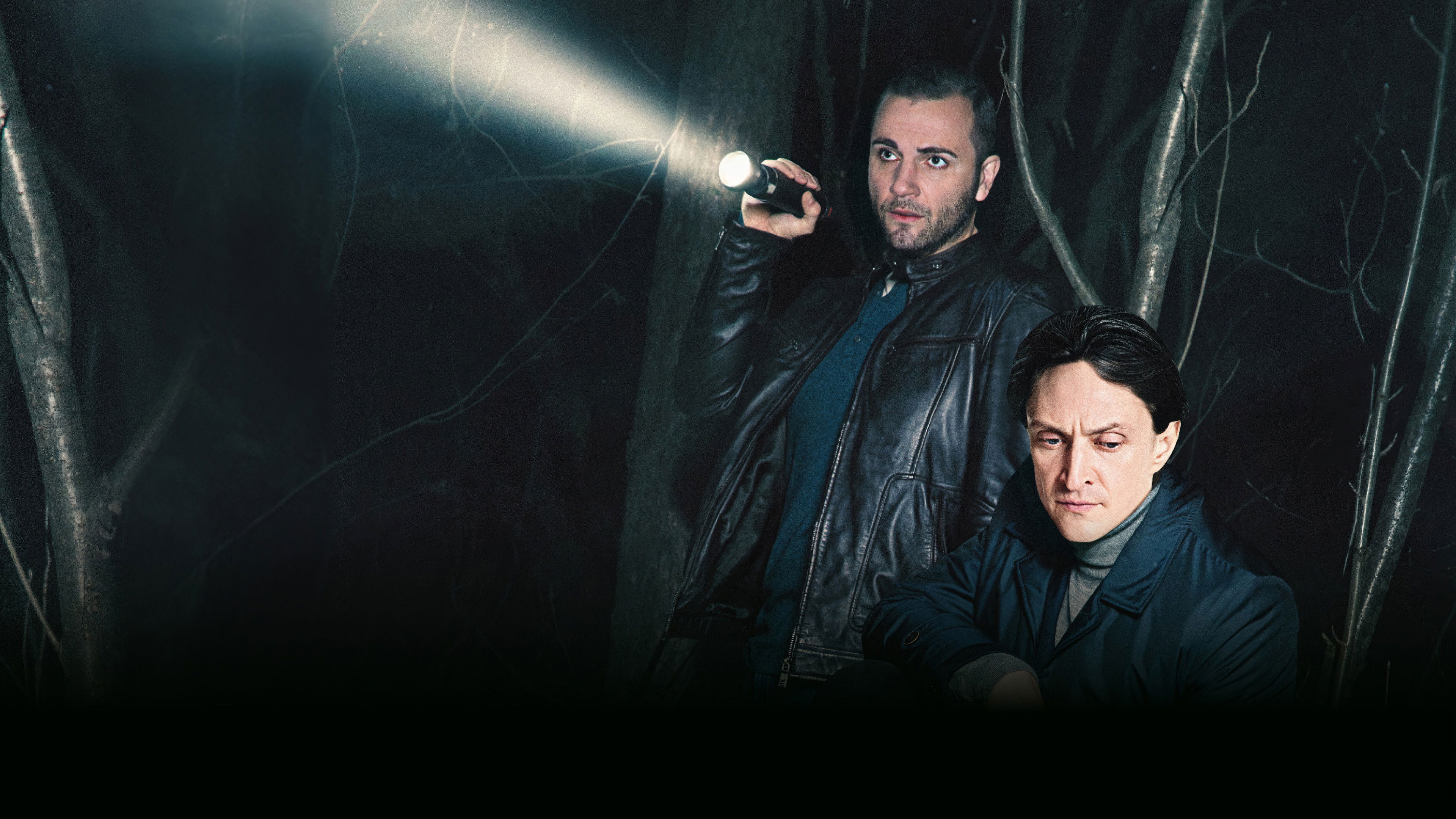 Backdrop for Чёрное солнце